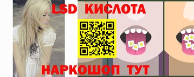 шишки Вышний Волочёк