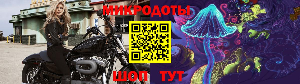 Ржев  Псилоцибиновые грибы MAGIC MUSHROOMS  Вход с VPN 